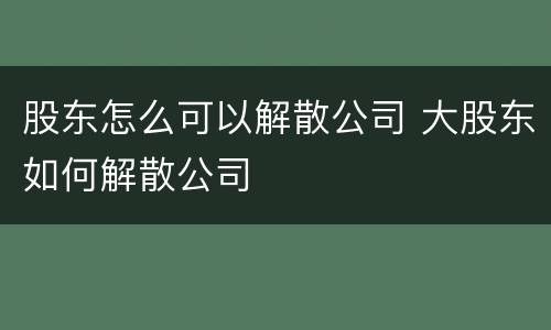 股东怎么可以解散公司 大股东如何解散公司