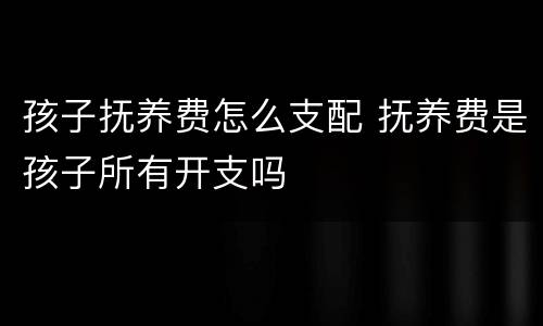 孩子抚养费怎么支配 抚养费是孩子所有开支吗