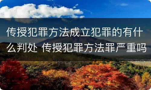 传授犯罪方法成立犯罪的有什么判处 传授犯罪方法罪严重吗