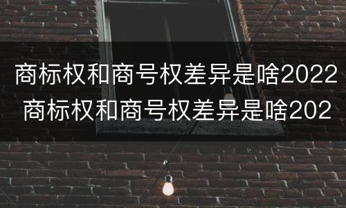 商标权和商号权差异是啥2022 商标权和商号权差异是啥2022年的