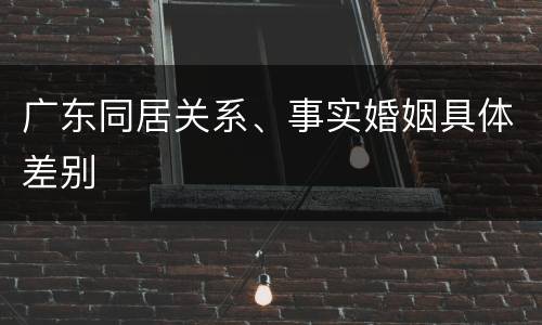 广东同居关系、事实婚姻具体差别