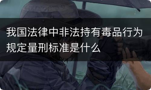 我国法律中非法持有毒品行为规定量刑标准是什么
