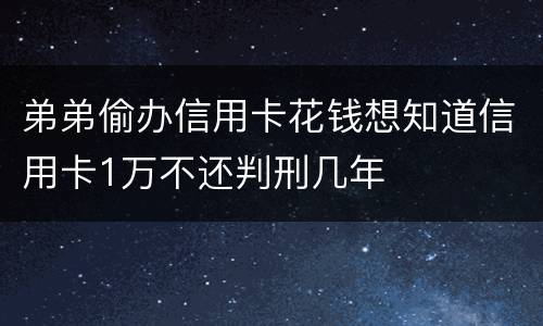 弟弟偷办信用卡花钱想知道信用卡1万不还判刑几年