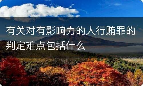 有关对有影响力的人行贿罪的判定难点包括什么