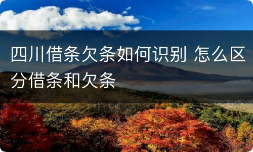四川借条欠条如何识别 怎么区分借条和欠条