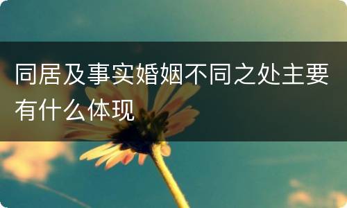 同居及事实婚姻不同之处主要有什么体现