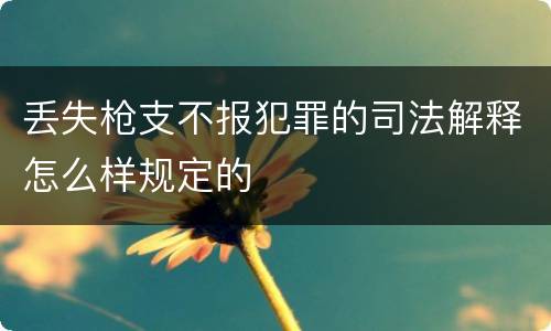 丢失枪支不报犯罪的司法解释怎么样规定的