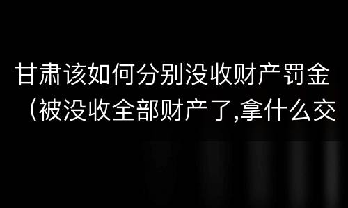 甘肃该如何分别没收财产罚金（被没收全部财产了,拿什么交罚金）