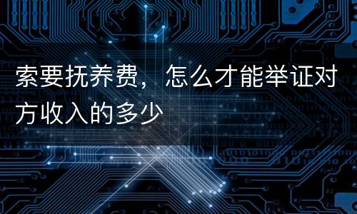 索要抚养费，怎么才能举证对方收入的多少