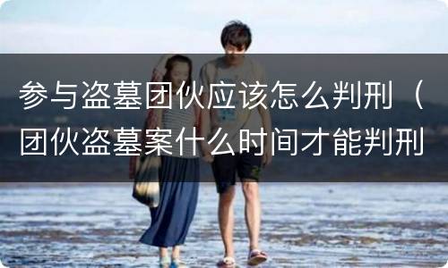 参与盗墓团伙应该怎么判刑（团伙盗墓案什么时间才能判刑）