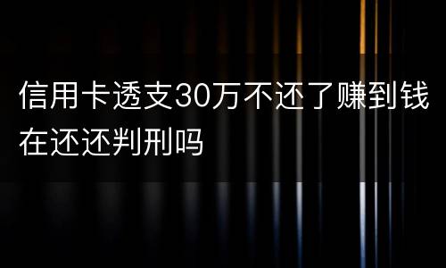 信用卡透支30万不还了赚到钱在还还判刑吗