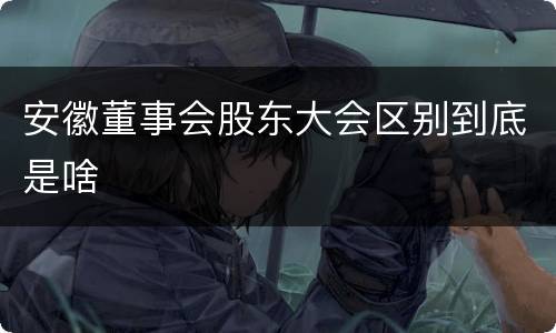 安徽董事会股东大会区别到底是啥