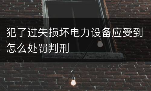 犯了过失损坏电力设备应受到怎么处罚判刑