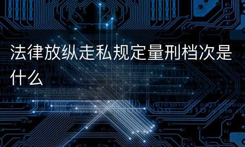 法律放纵走私规定量刑档次是什么