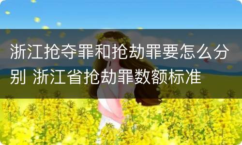浙江抢夺罪和抢劫罪要怎么分别 浙江省抢劫罪数额标准