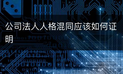 公司法人人格混同应该如何证明