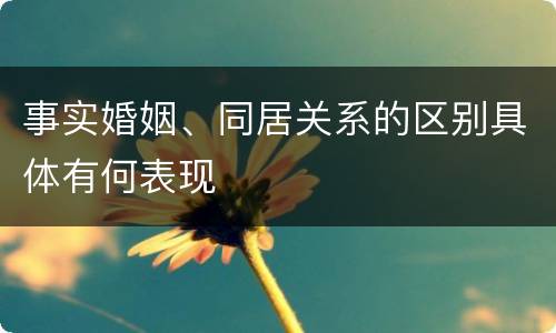 事实婚姻、同居关系的区别具体有何表现