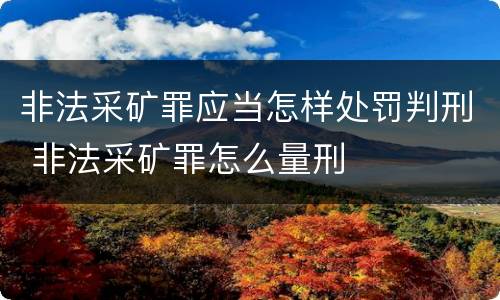 非法采矿罪应当怎样处罚判刑 非法采矿罪怎么量刑