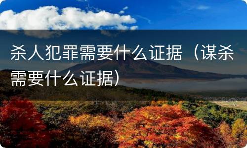 杀人犯罪需要什么证据（谋杀需要什么证据）