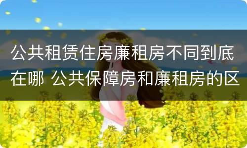 公共租赁住房廉租房不同到底在哪 公共保障房和廉租房的区别