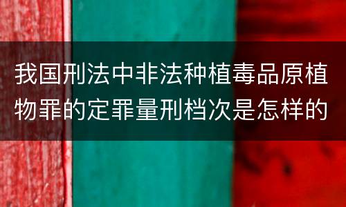 我国刑法中非法种植毒品原植物罪的定罪量刑档次是怎样的