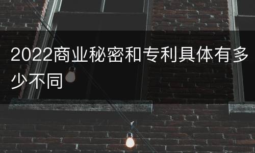 2022商业秘密和专利具体有多少不同