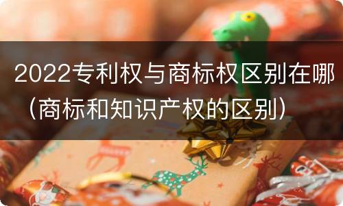 2022专利权与商标权区别在哪（商标和知识产权的区别）