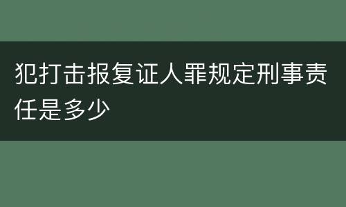 犯打击报复证人罪规定刑事责任是多少