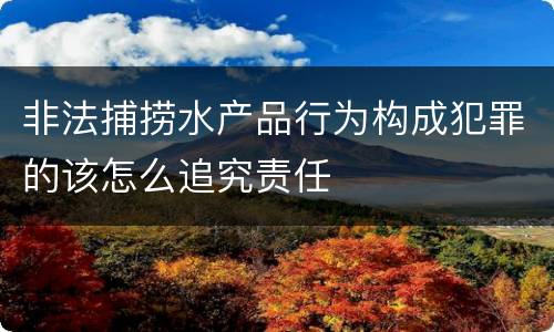 非法捕捞水产品行为构成犯罪的该怎么追究责任