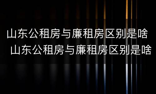 山东公租房与廉租房区别是啥 山东公租房与廉租房区别是啥啊