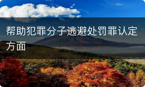 帮助犯罪分子逃避处罚罪认定方面