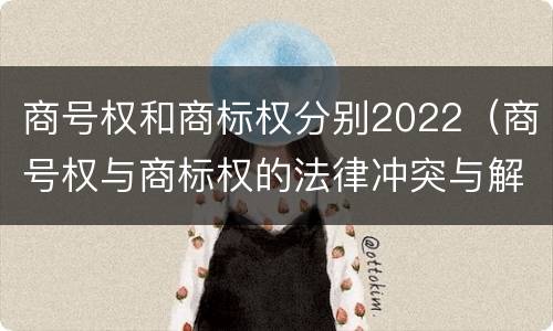 商号权和商标权分别2022（商号权与商标权的法律冲突与解决）