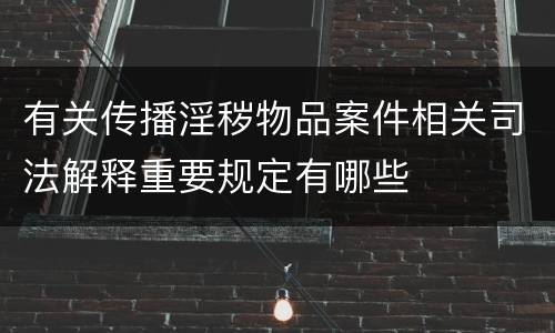 有关传播淫秽物品案件相关司法解释重要规定有哪些
