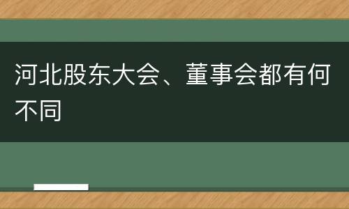 河北股东大会、董事会都有何不同