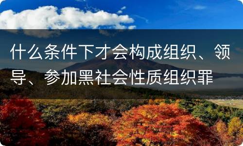 什么条件下才会构成组织、领导、参加黑社会性质组织罪