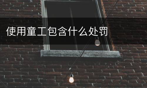 使用童工包含什么处罚