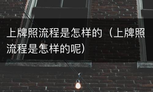 上牌照流程是怎样的（上牌照流程是怎样的呢）