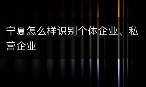 宁夏怎么样识别个体企业、私营企业