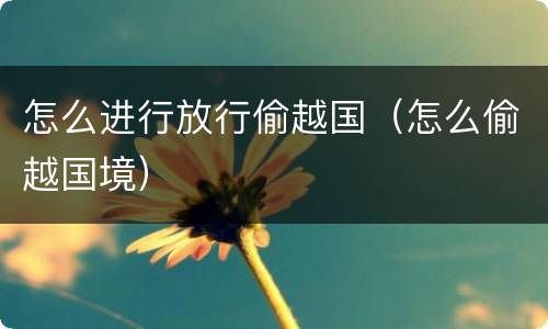 怎么进行放行偷越国（怎么偷越国境）