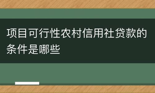 项目可行性农村信用社贷款的条件是哪些