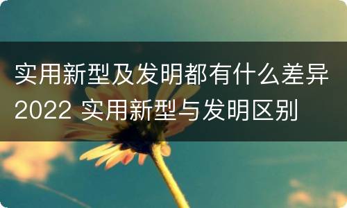实用新型及发明都有什么差异2022 实用新型与发明区别
