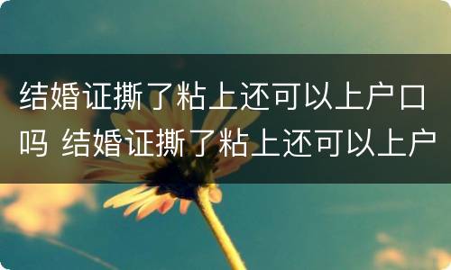 结婚证撕了粘上还可以上户口吗 结婚证撕了粘上还可以上户口吗有影响吗