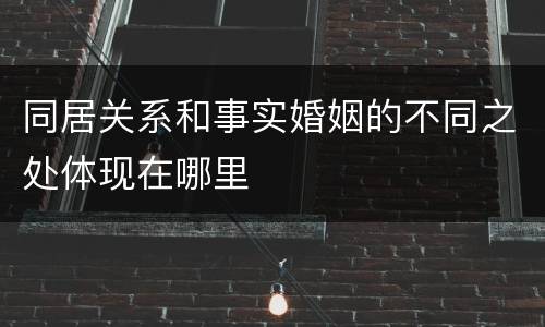 同居关系和事实婚姻的不同之处体现在哪里