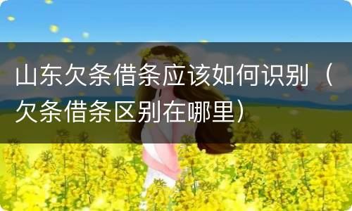 山东欠条借条应该如何识别（欠条借条区别在哪里）