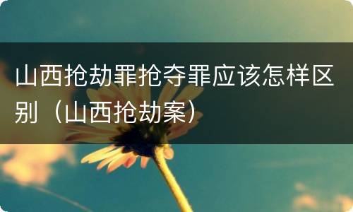 山西抢劫罪抢夺罪应该怎样区别（山西抢劫案）
