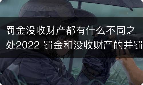 罚金没收财产都有什么不同之处2022 罚金和没收财产的并罚