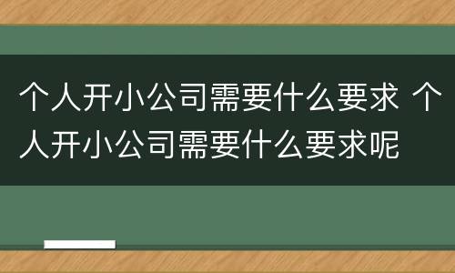 个人开小公司需要什么要求 个人开小公司需要什么要求呢
