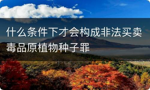 什么条件下才会构成非法买卖毒品原植物种子罪