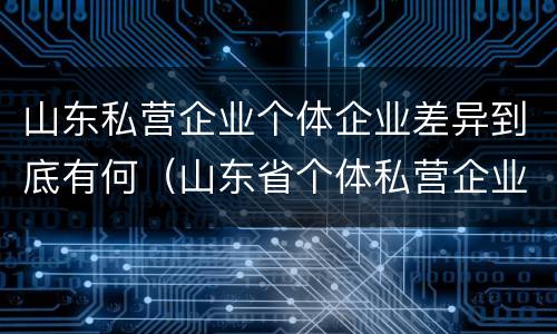 山东私营企业个体企业差异到底有何（山东省个体私营企业协会）