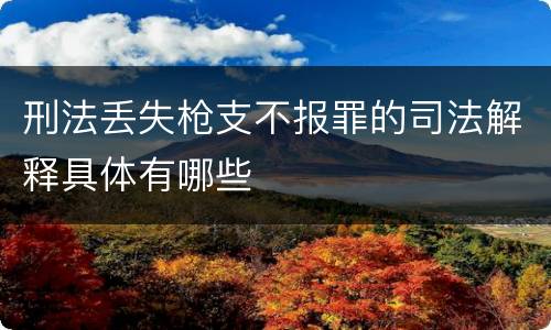 刑法丢失枪支不报罪的司法解释具体有哪些